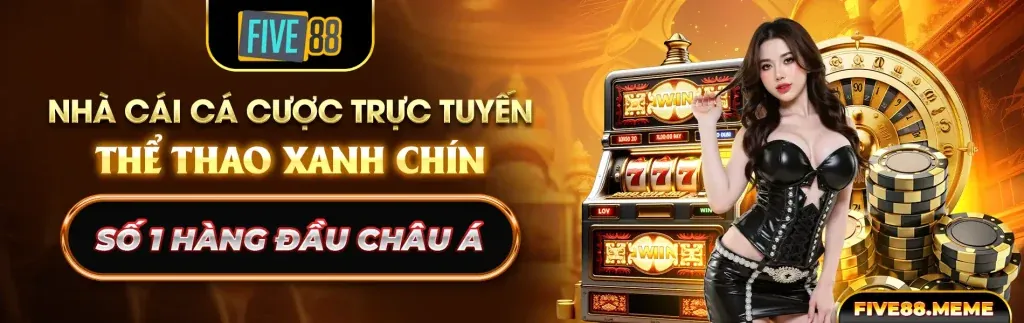 Các loại hình đá gà đa dạng tại 79kibg